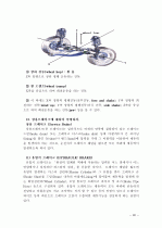 자동차의 구성 장치에 대한 자세한 설명 자료 30페이지