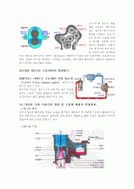 자동차의 분류부터 기타 장치들의 설명 25페이지