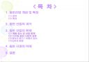 음반과 음반 시장의 특성 : 음반 산업에의 접근들 2페이지