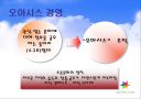 에버랜드의 테마파크전략 26페이지