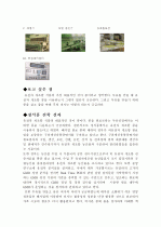 식품공장 견학 감상문 31페이지