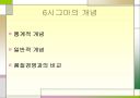 6시그마경영 5페이지
