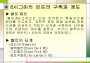 6시그마경영 12페이지