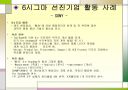 6시그마경영 30페이지