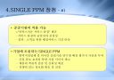 single ppm 13페이지