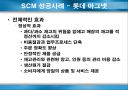 SCM(Supply Chain Management)에 관하여 17페이지