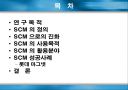 SCM(Supply Chain Management)에 관하여 2페이지