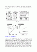 [경영]휴대인터넷서비스 추진및향후시장전망 2페이지