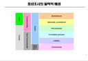 정성조사의 이해 2페이지