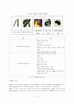 RFID를 이용한 물류 시스템 11페이지