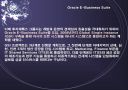 Business Intelligence 사례 13페이지