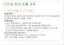 LG전자 해외 진출 사례 8페이지