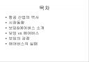 Boeing(보잉) 과  Airbus(에어버스)에 관하여.. 2페이지
