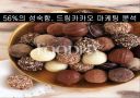 56%의 성숙함, 드림카카오 마케팅 분석 1페이지