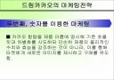 56%의 성숙함, 드림카카오 마케팅 분석 11페이지