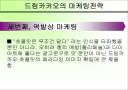 56%의 성숙함, 드림카카오 마케팅 분석 12페이지