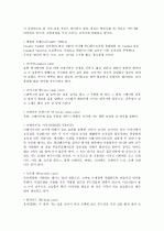 면의 종류와 특징 8페이지