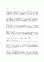 면의 종류와 특징 17페이지