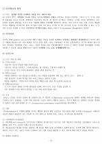 Jean piaget의  인지이론 3페이지
