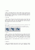 스키의 기초 기술에 대하여 5페이지
