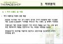 더페이스샵의 마케팅 전략 분석 8페이지