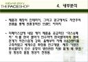 더페이스샵의 마케팅 전략 분석 14페이지