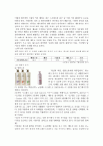 P&G의 마케팅 전략 분석 13페이지