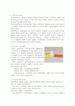 사후 피임약 3페이지