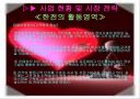 한전의 물류 전략 14페이지