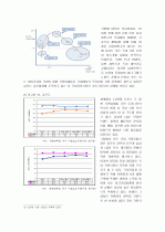하이얼한국시장전략 8페이지