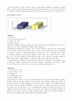 아시아나항공의마케팅전략 23페이지