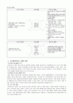 아시아나항공의마케팅전략 25페이지