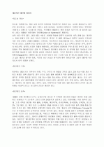 개괄적인 미얀마 이야기 1페이지