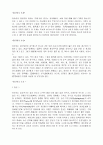 개괄적인 미얀마 이야기 2페이지