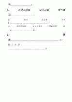 서브프라임 모기지 사태와 한국경제  3페이지