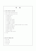 롯데 자일리톨 성공사례 2페이지