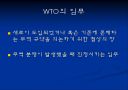 WTO출범과 향후과제  7페이지