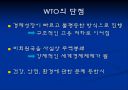 WTO출범과 향후과제  11페이지
