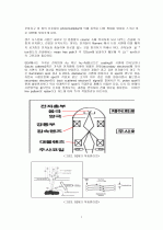 SEM(Scanning Electron Microscope) 3페이지