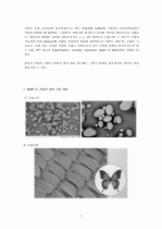 SEM(Scanning Electron Microscope) 10페이지