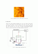 AFM(Atomic Force Microscope) 4페이지