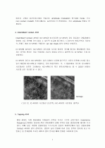 AFM(Atomic Force Microscope) 8페이지