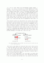 12차 NGFM의 효과 2페이지
