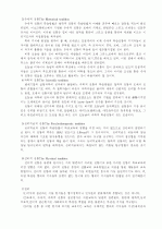 교육철학의 기초 8페이지