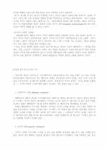 교육철학의 기초 13페이지