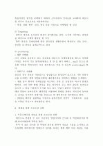  네비게이션 해외시장 동향 분석 14페이지
