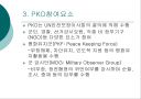 한국의  PKO 활동 6페이지