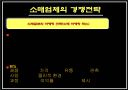 소매점포의 경쟁전략과  목표관리 16페이지