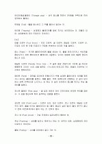 핸드볼에 대하여 20페이지