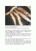 마의 특징과 효능 및 영양성분 (식품학) 2페이지